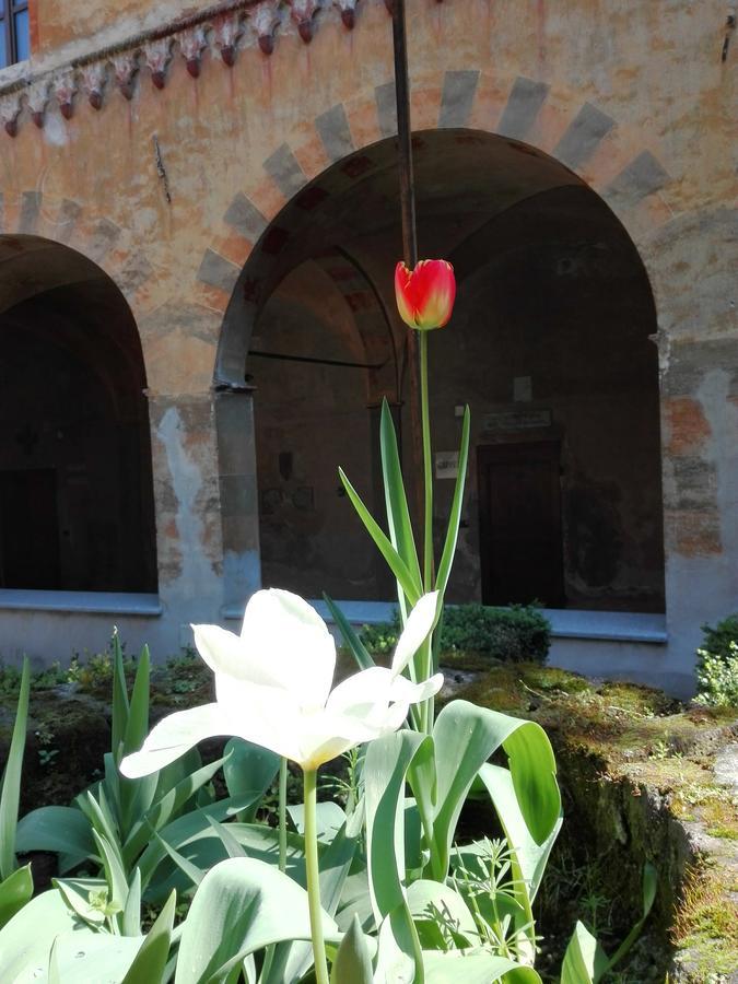 Casa Per Ferie San Francesco Hotel Susa Bagian luar foto